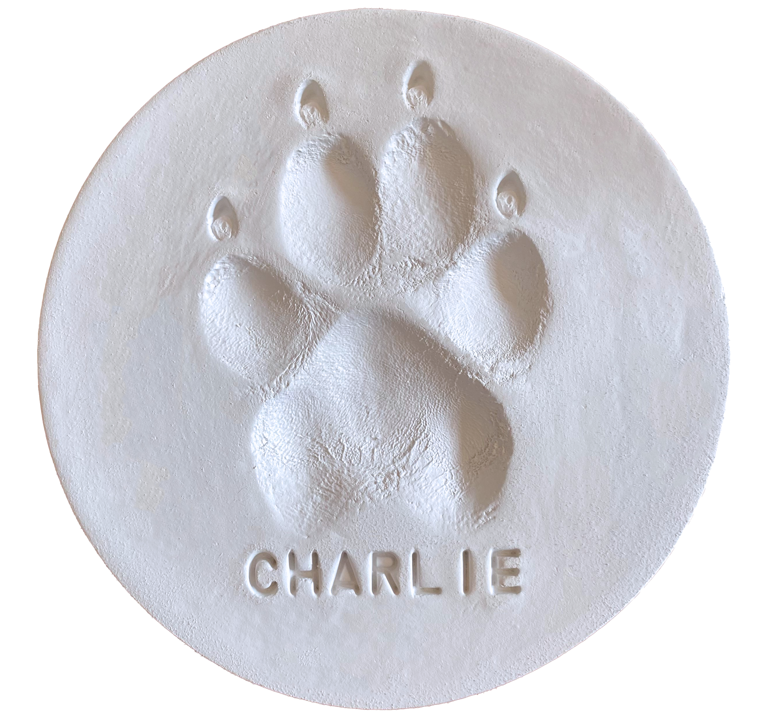 Clay Paw Print-image