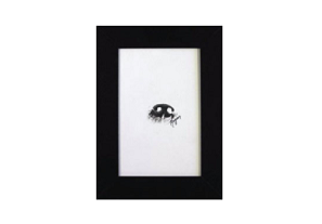 Ink Prints Nose-image